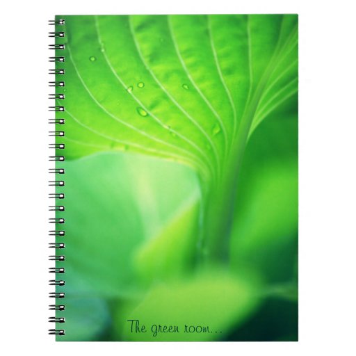  - the_green_room_note_pad_spiral_notebook-r56937be0cfa942f0b62fa62de7435698_ambg4_8byvr_512
