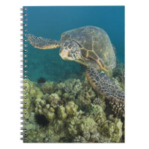 The Green Sea Turtle, (Chelonia mydas), is the 2 Note Book