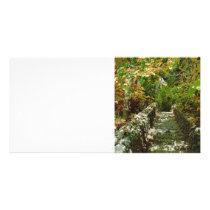 The Green Stairway Photo Cards