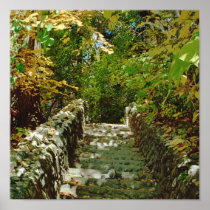 The Green Stairway Poster