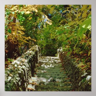 The Green Stairway print
