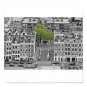 The Green Tree posters by ndjphotography The Green Tree posters