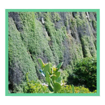 The Green wall posters