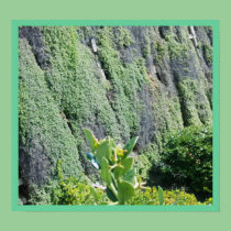 The Green wall posters