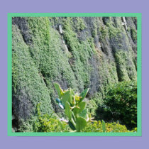 The Green wall posters