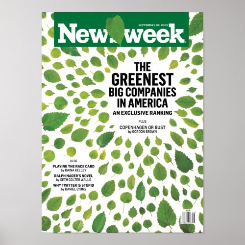 The Greenest Big Companies in America print