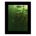 The greenhouse posters by gtran The greenhouse posters