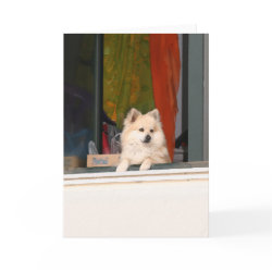 The Greeting Committee Card card