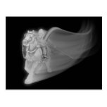 The Grim Reaper Rides Again Post Card