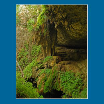 The Grotto at Westcave Preserve postcards