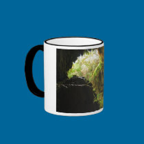 The Grotto Mug