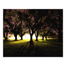 The Group Photographic Print