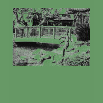 The Grove Black and White - Customized t-shirts by vreal6969 The Grove Black and White - Customized t-shirts