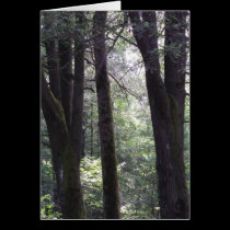 The Grove cards