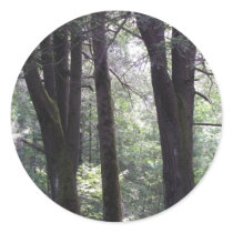 The Grove Stickers