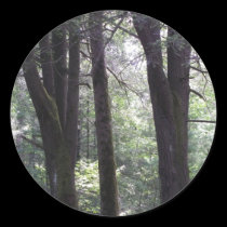 The Grove stickers