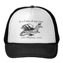 The Gryphon Snail (Hat)