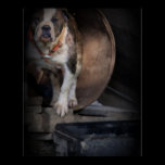 The Guard Dog posters