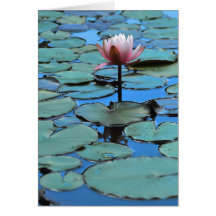 The Guiding light Greeting Card