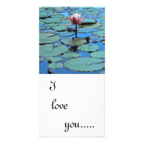 The Guiding light, I love you..... photo cards by anthonyhedger The Guiding light, I love you..... photo cards