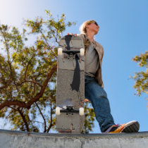 The gull & his shadow skateboards