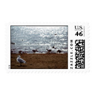 The Gull stamp