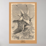 The Gyrfalcon Print
