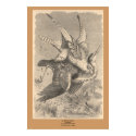 The Gyrfalcon posters by ZephyrusBooks The Gyrfalcon posters