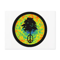 The Haight Ashbury Postcards