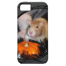 The Halloween Rat iPhone case iPhone 5 Case