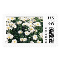The Hamptons Flowers Stamp stamps