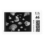 The Hamptons Seashells Stamp