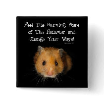 The Hamster buttons