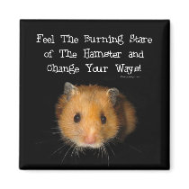 The Hamster magnets