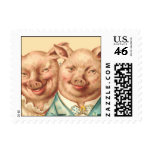 The Handsome Pig Couple Postage Stamp
