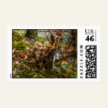 The Hangout Postage Stamp