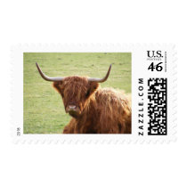 the hangover postage by lilandluckysloot the hangover postage