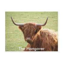 the hangover postcards