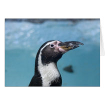 The Happy Penguin cards by niagaragirl The Happy Penguin cards