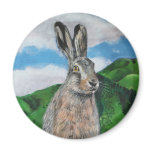 The Hare magnets