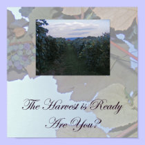 The Harvest posters