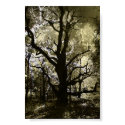 The Haunted Tree posters