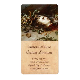 The Head of Medusa Peter Paul Rubens painting Shipping Label