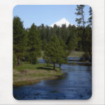 The Head of the Metolius