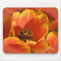 The Heart of the Matter mousepads