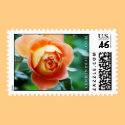 The Heather Lenkin Rose postage by heatherlenkin The Heather Lenkin Rose postage