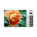 The Heather Lenkin Rose postage