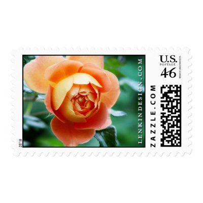 The Heather Lenkin Rose Postage by heatherlenkin