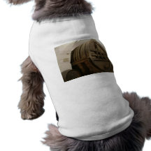 The Heidelberg Tun Pet Clothes