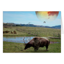 The Herd cards